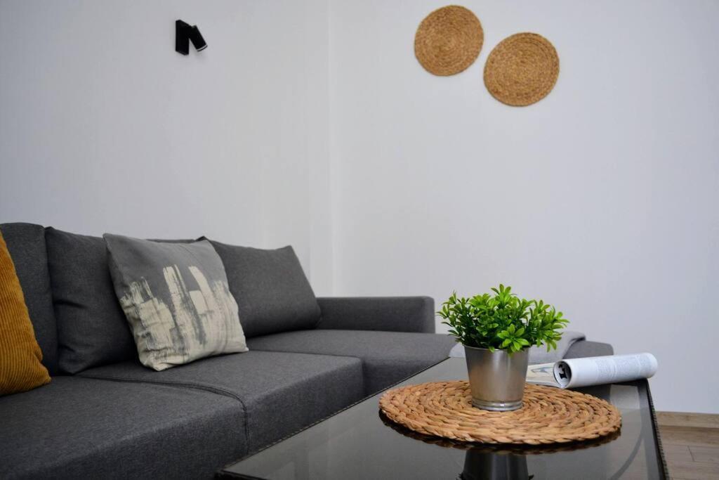 Apartament Modern Center 2 Bedroom Sofia