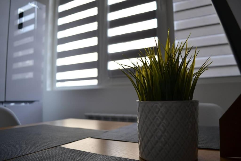 Modern Center 2 Bedroom Apartemen *